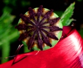 ingrid_homepage_2014_10