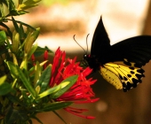 ingrid_homepage_2014_17